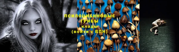 стаф Галич