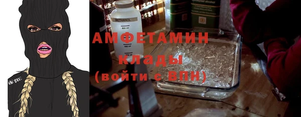 индика Гатчина