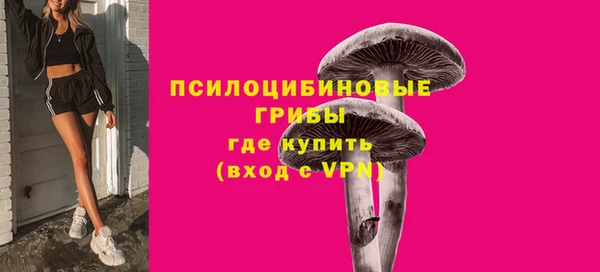 ГАЛЛЮЦИНОГЕННЫЕ ГРИБЫ Осташков