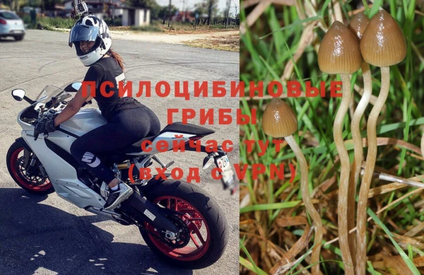 ALPHA PVP Осинники