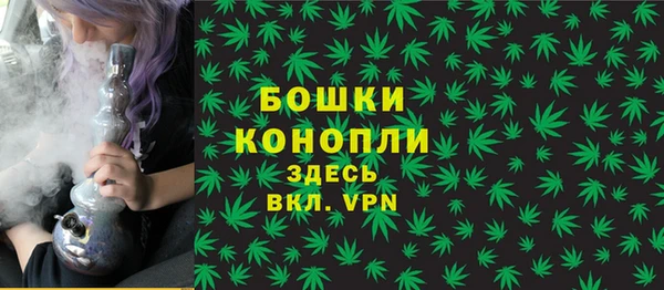прущие крисы Устюжна
