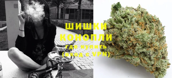 ГАЛЛЮЦИНОГЕННЫЕ ГРИБЫ Осташков