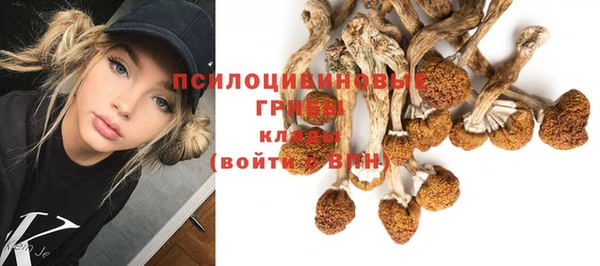 ГАЛЛЮЦИНОГЕННЫЕ ГРИБЫ Осташков