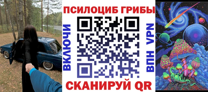 Псилоцибиновые грибы Psilocybe купить наркотик Полтавская